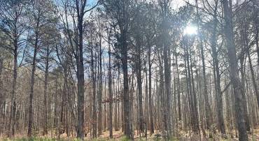 78 CUBITT CREEK RD, HEATHSVILLE, Virginia 22473, ,Land,For sale,78 CUBITT CREEK RD,VANV2001838 MLS # VANV2001838