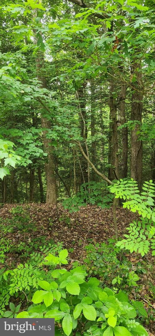 LOT 68 TRAVELER'S CIR, MONTROSS, Virginia 22520, ,Land,For sale,LOT 68 TRAVELER'S CIR,VAWE2010288 MLS # VAWE2010288