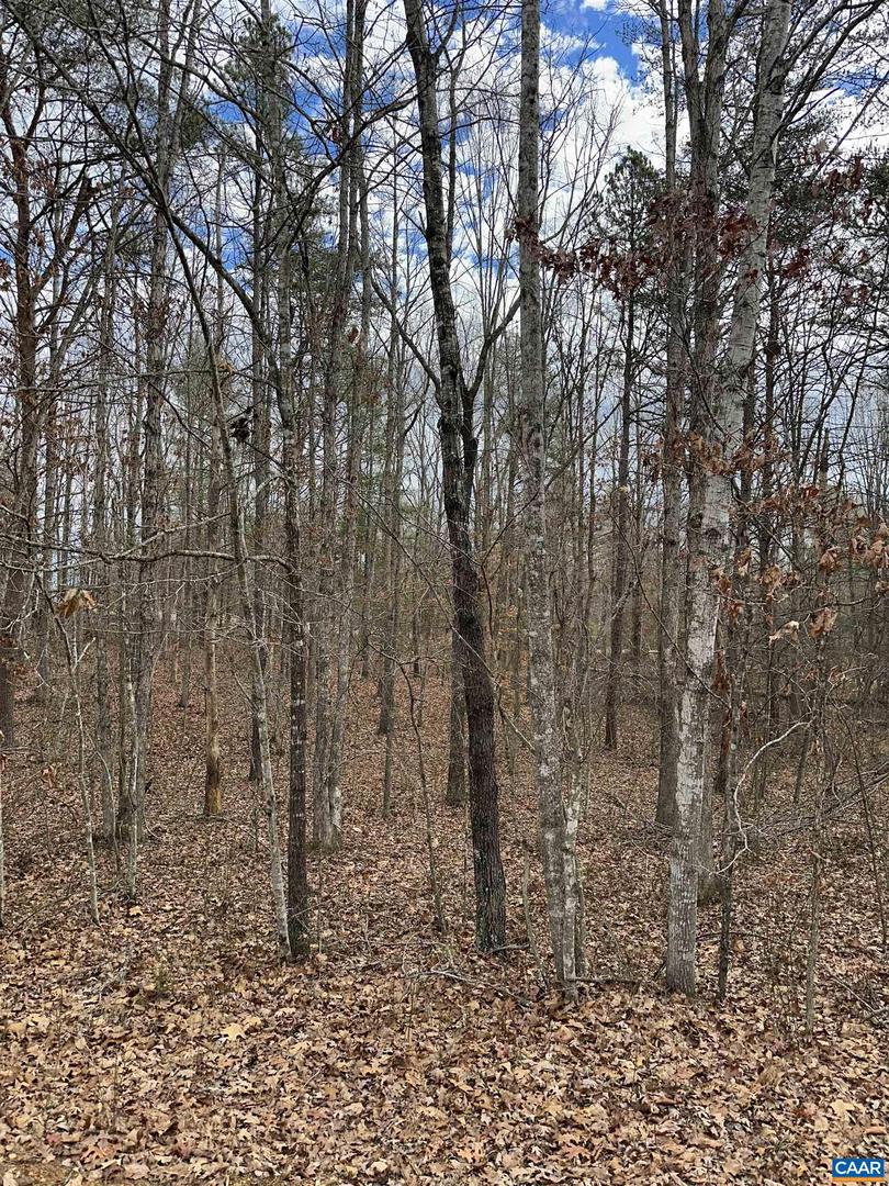 LOT 220 PINEHURST DR #220, LOUISA, Virginia 23093, ,Land,For sale,LOT 220 PINEHURST DR #220,672063 MLS # 672063