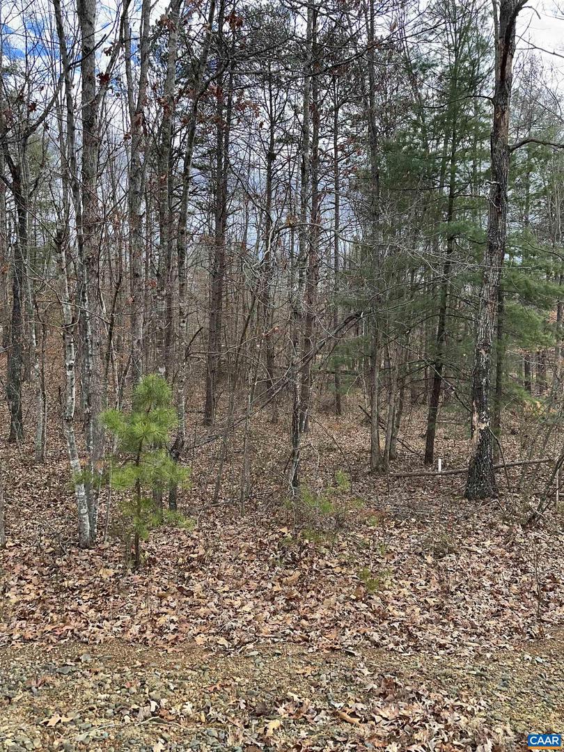 LOT 219 PINEHURST DR, LOUISA, Virginia 23093, ,Land,For sale,LOT 219 PINEHURST DR,672064 MLS # 672064
