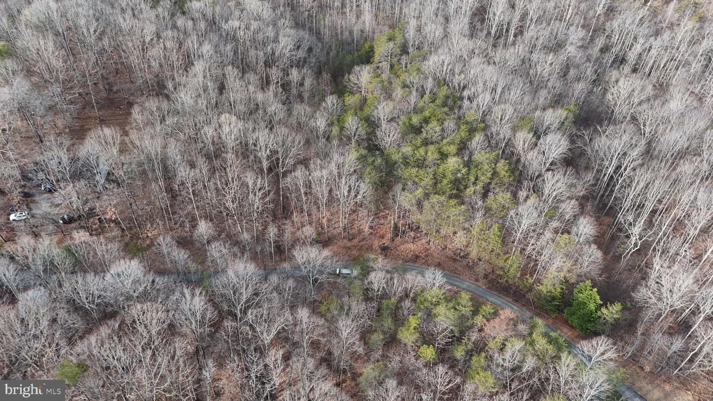 00 LIND HILL LN, SPOUT SPRING, Virginia 24593, ,Land,For sale,00 LIND HILL LN,VAAV2000046 MLS # VAAV2000046 00 LIND HILL LN, SPOUT SPRING, Virginia 24593, ,Land,For sale,00 LIND HILL LN,VAAV2000046 MLS # VAAV2000046