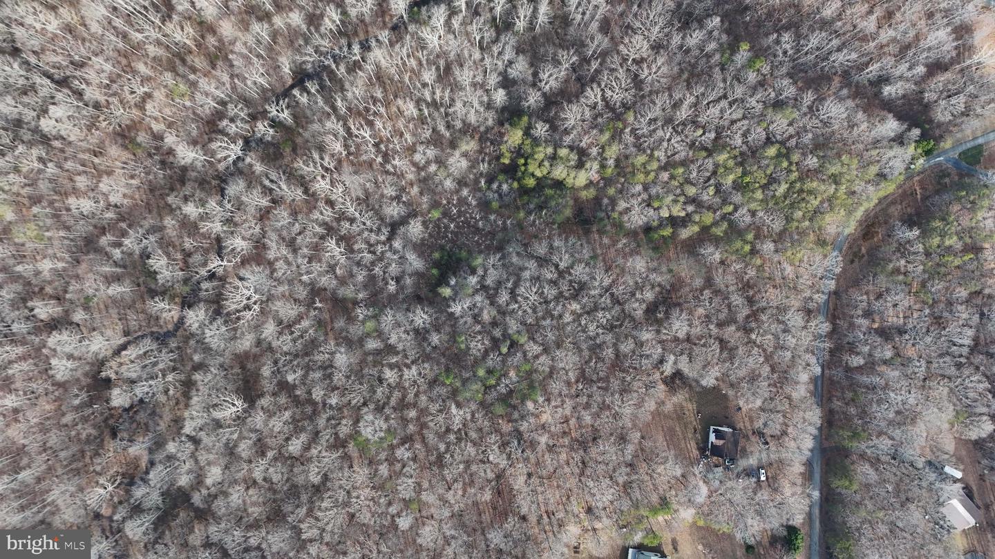 00 LIND HILL LN, SPOUT SPRING, Virginia 24593, ,Land,For sale,00 LIND HILL LN,VAAV2000046 MLS # VAAV2000046 00 LIND HILL LN, SPOUT SPRING, Virginia 24593, ,Land,For sale,00 LIND HILL LN,VAAV2000046 MLS # VAAV2000046