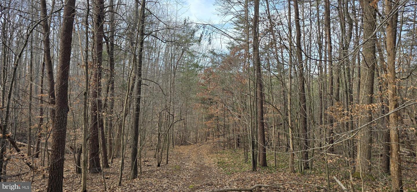 00 LIND HILL LN, SPOUT SPRING, Virginia 24593, ,Land,For sale,00 LIND HILL LN,VAAV2000046 MLS # VAAV2000046 00 LIND HILL LN, SPOUT SPRING, Virginia 24593, ,Land,For sale,00 LIND HILL LN,VAAV2000046 MLS # VAAV2000046