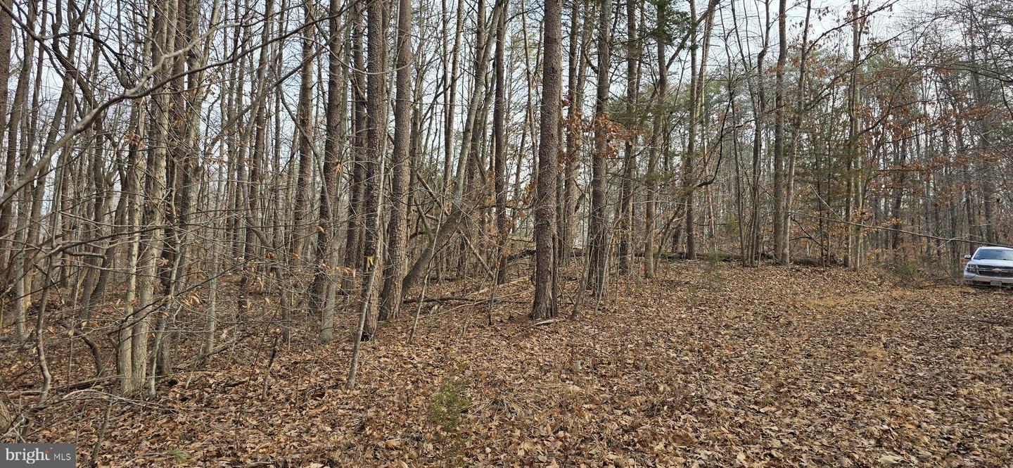 00 LIND HILL LN, SPOUT SPRING, Virginia 24593, ,Land,For sale,00 LIND HILL LN,VAAV2000046 MLS # VAAV2000046 00 LIND HILL LN, SPOUT SPRING, Virginia 24593, ,Land,For sale,00 LIND HILL LN,VAAV2000046 MLS # VAAV2000046