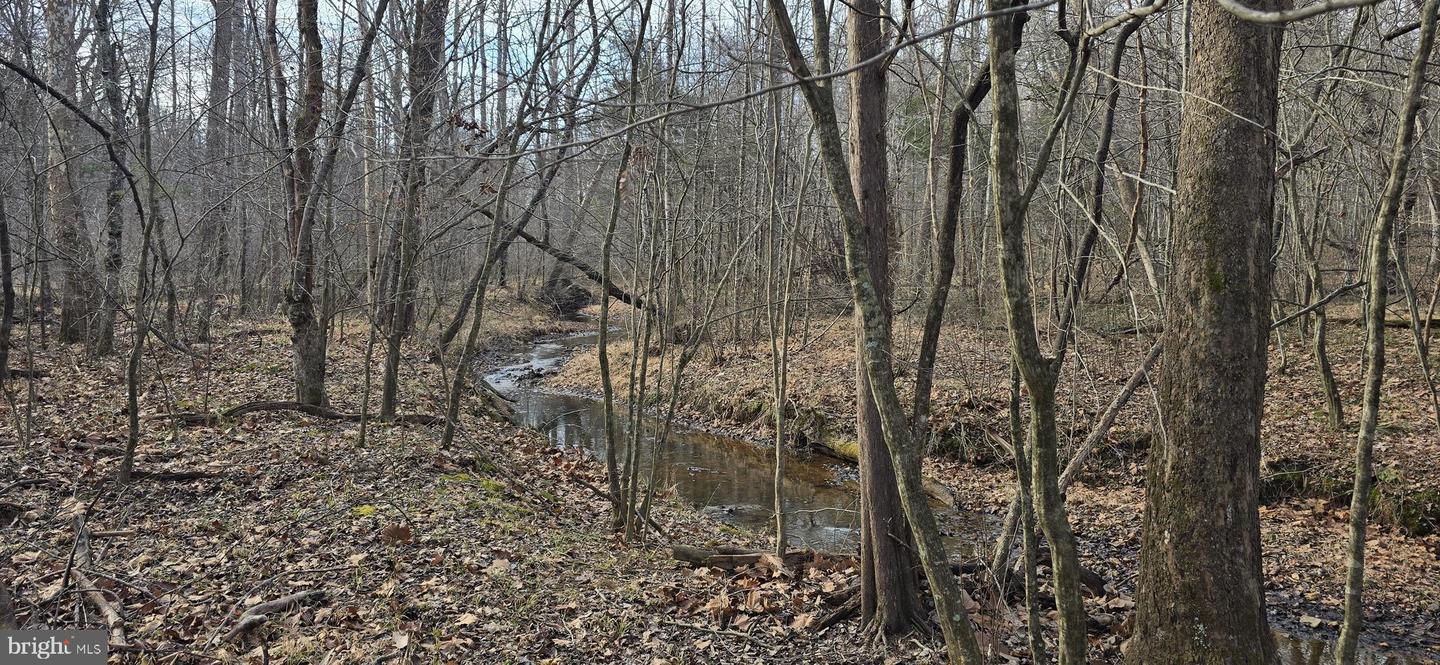 00 LIND HILL LN, SPOUT SPRING, Virginia 24593, ,Land,For sale,00 LIND HILL LN,VAAV2000046 MLS # VAAV2000046 00 LIND HILL LN, SPOUT SPRING, Virginia 24593, ,Land,For sale,00 LIND HILL LN,VAAV2000046 MLS # VAAV2000046