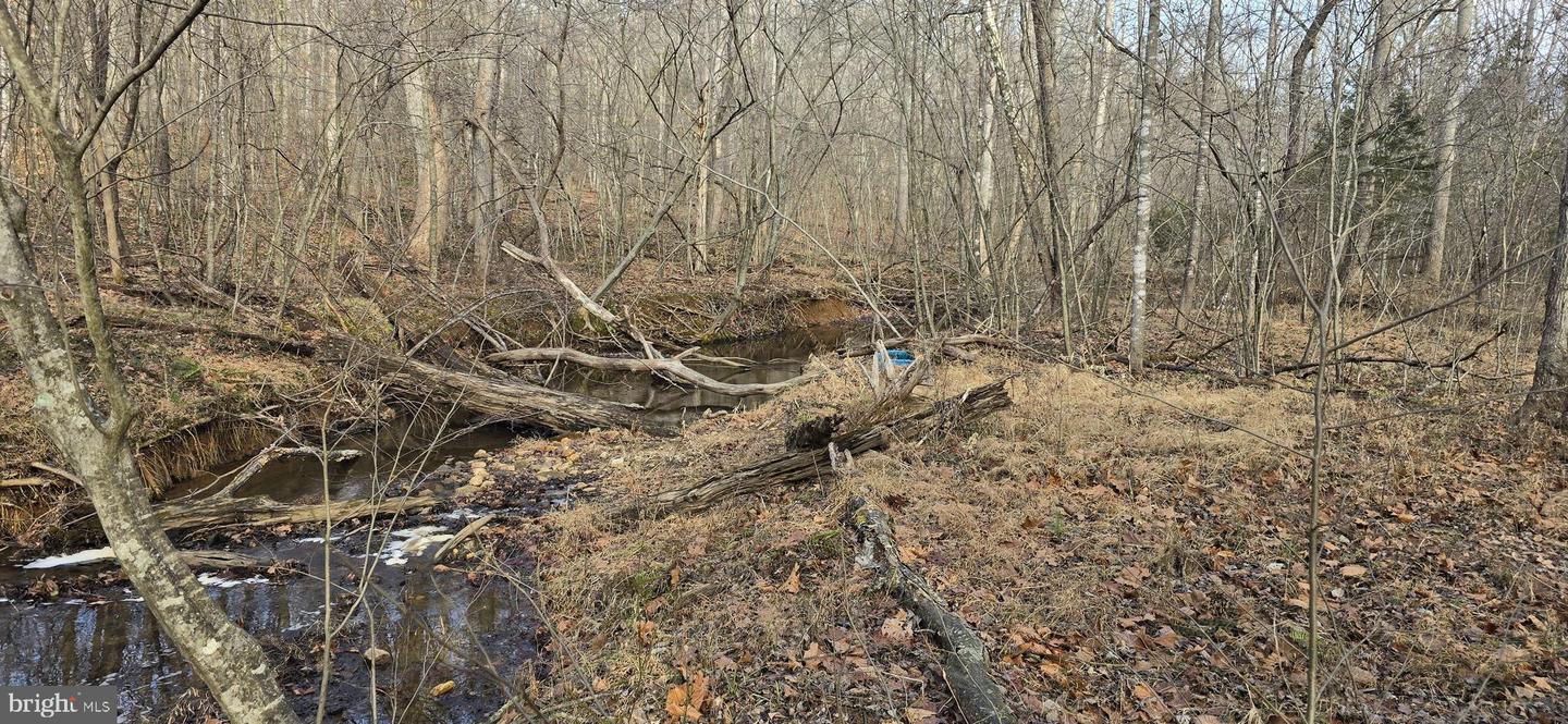 00 LIND HILL LN, SPOUT SPRING, Virginia 24593, ,Land,For sale,00 LIND HILL LN,VAAV2000046 MLS # VAAV2000046 00 LIND HILL LN, SPOUT SPRING, Virginia 24593, ,Land,For sale,00 LIND HILL LN,VAAV2000046 MLS # VAAV2000046