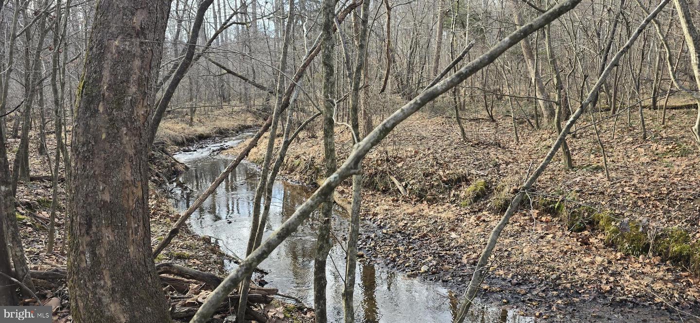 00 LIND HILL LN, SPOUT SPRING, Virginia 24593, ,Land,For sale,00 LIND HILL LN,VAAV2000046 MLS # VAAV2000046 00 LIND HILL LN, SPOUT SPRING, Virginia 24593, ,Land,For sale,00 LIND HILL LN,VAAV2000046 MLS # VAAV2000046