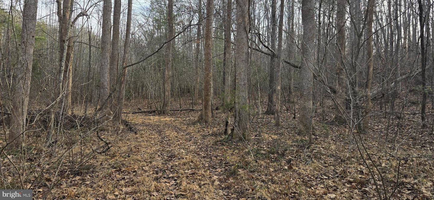 00 LIND HILL LN, SPOUT SPRING, Virginia 24593, ,Land,For sale,00 LIND HILL LN,VAAV2000046 MLS # VAAV2000046 00 LIND HILL LN, SPOUT SPRING, Virginia 24593, ,Land,For sale,00 LIND HILL LN,VAAV2000046 MLS # VAAV2000046