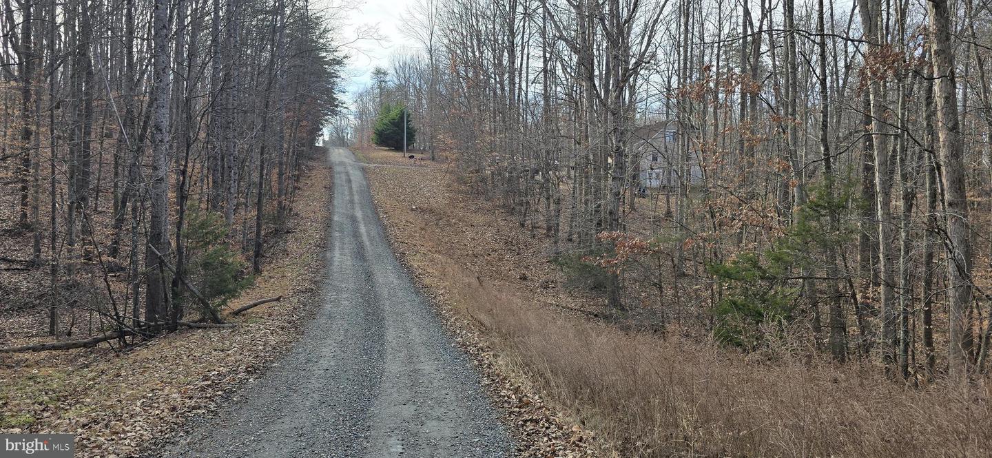 00 LIND HILL LN, SPOUT SPRING, Virginia 24593, ,Land,For sale,00 LIND HILL LN,VAAV2000046 MLS # VAAV2000046 00 LIND HILL LN, SPOUT SPRING, Virginia 24593, ,Land,For sale,00 LIND HILL LN,VAAV2000046 MLS # VAAV2000046