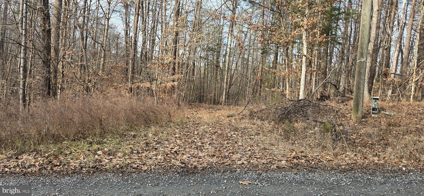 00 LIND HILL LN, SPOUT SPRING, Virginia 24593, ,Land,For sale,00 LIND HILL LN,VAAV2000046 MLS # VAAV2000046 00 LIND HILL LN, SPOUT SPRING, Virginia 24593, ,Land,For sale,00 LIND HILL LN,VAAV2000046 MLS # VAAV2000046