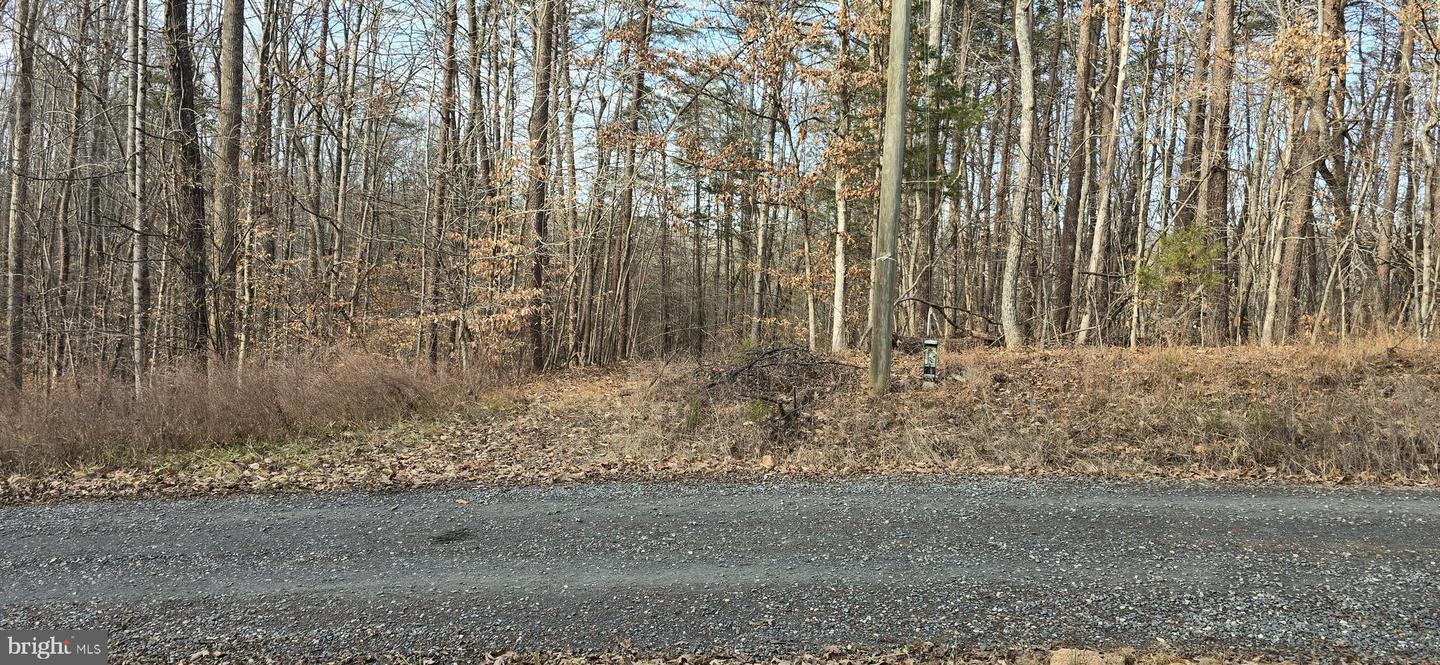 00 LIND HILL LN, SPOUT SPRING, Virginia 24593, ,Land,For sale,00 LIND HILL LN,VAAV2000046 MLS # VAAV2000046 00 LIND HILL LN, SPOUT SPRING, Virginia 24593, ,Land,For sale,00 LIND HILL LN,VAAV2000046 MLS # VAAV2000046