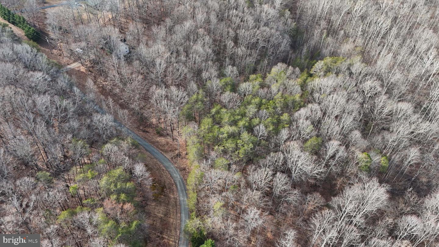 00 LIND HILL LN, SPOUT SPRING, Virginia 24593, ,Land,For sale,00 LIND HILL LN,VAAV2000046 MLS # VAAV2000046 00 LIND HILL LN, SPOUT SPRING, Virginia 24593, ,Land,For sale,00 LIND HILL LN,VAAV2000046 MLS # VAAV2000046