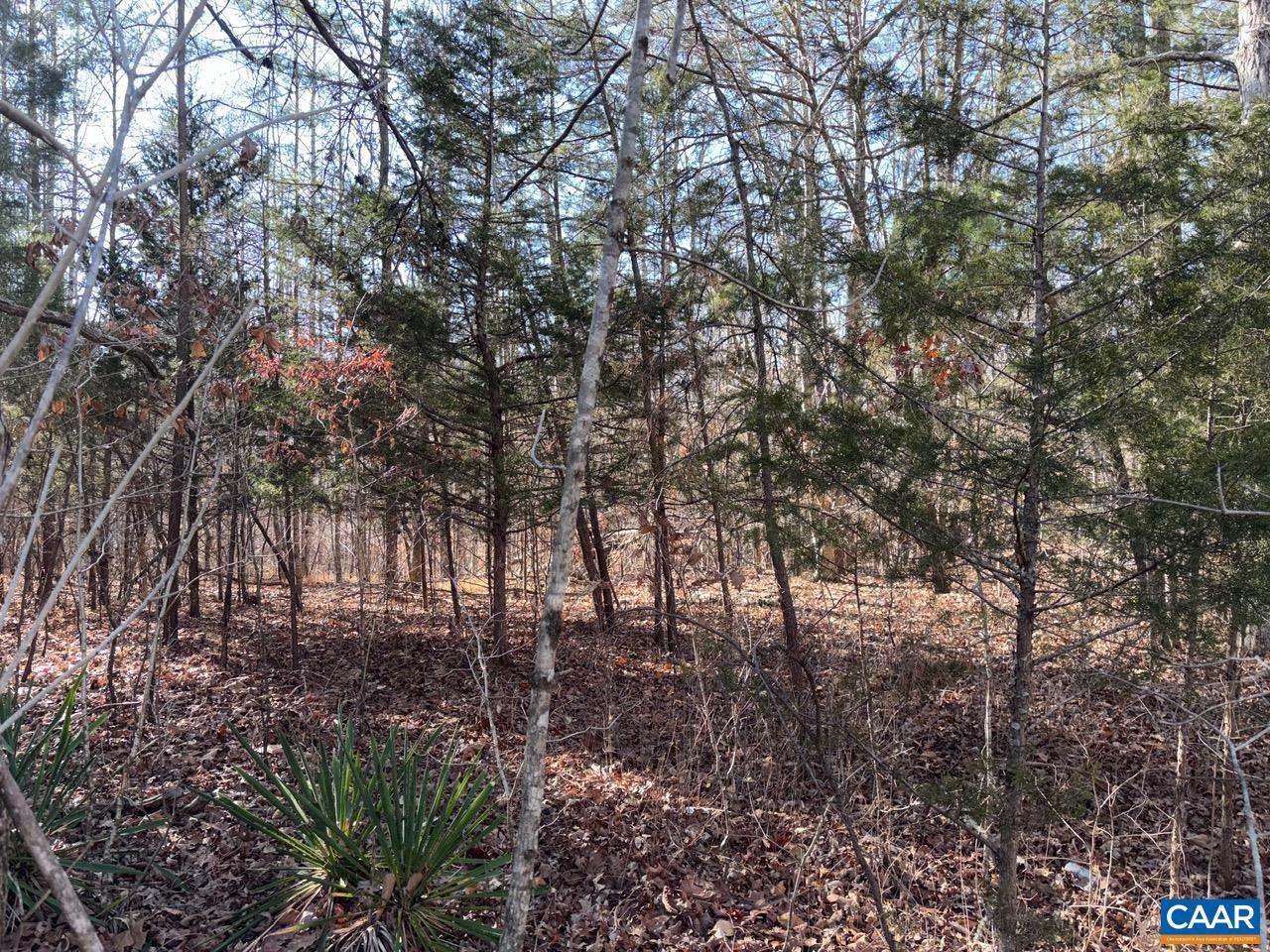 GILBERT STATION RD, BARBOURSVILLE, Virginia 22923, ,Land,For sale,GILBERT STATION RD,672100 MLS # 672100