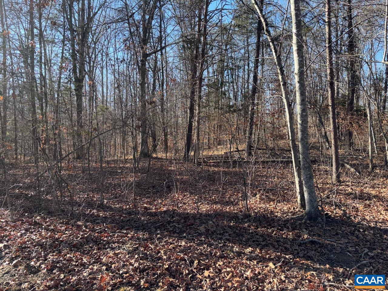 GILBERT STATION RD, BARBOURSVILLE, Virginia 22923, ,Land,For sale,GILBERT STATION RD,672100 MLS # 672100