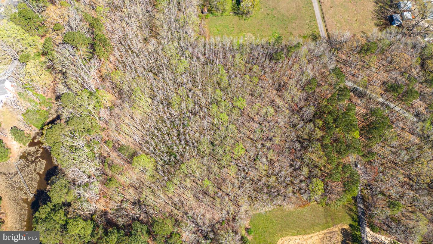 17 PINE REACH DR, KILMARNOCK, Virginia 22482, ,Land,For sale,17 PINE REACH DR,VANV2001844 MLS # VANV2001844 17 PINE REACH DR, KILMARNOCK, Virginia 22482, ,Land,For sale,17 PINE REACH DR,VANV2001844 MLS # VANV2001844