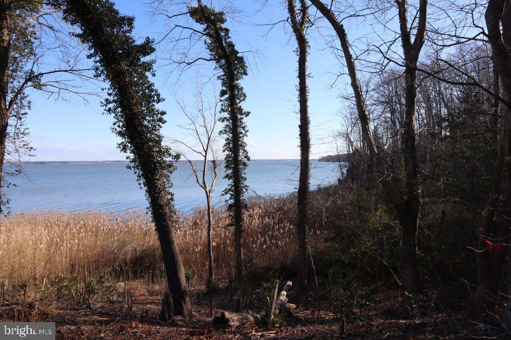 MT PROSPECT RD, LANEVIEW, Virginia 22504, ,Land,For sale,MT PROSPECT RD,VAES2002098 MLS # VAES2002098