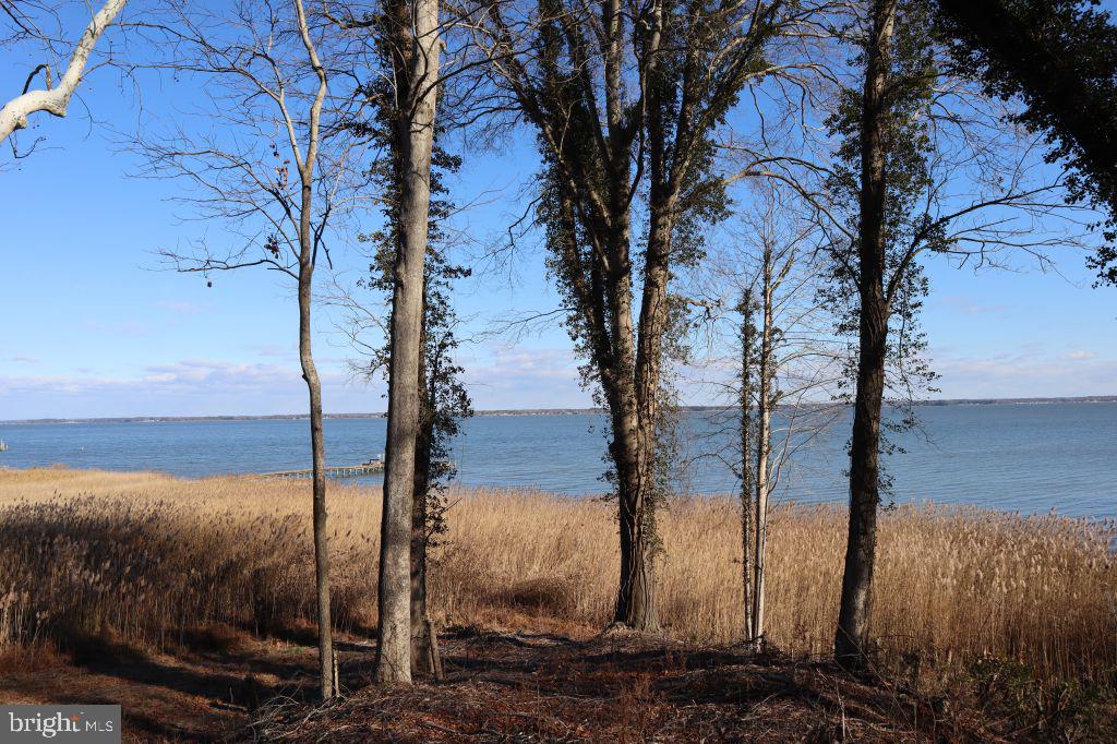 MT PROSPECT RD, LANEVIEW, Virginia 22504, ,Land,For sale,MT PROSPECT RD,VAES2002098 MLS # VAES2002098