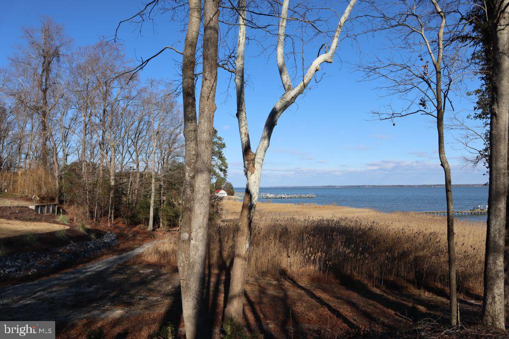 MT PROSPECT RD, LANEVIEW, Virginia 22504, ,Land,For sale,MT PROSPECT RD,VAES2002098 MLS # VAES2002098