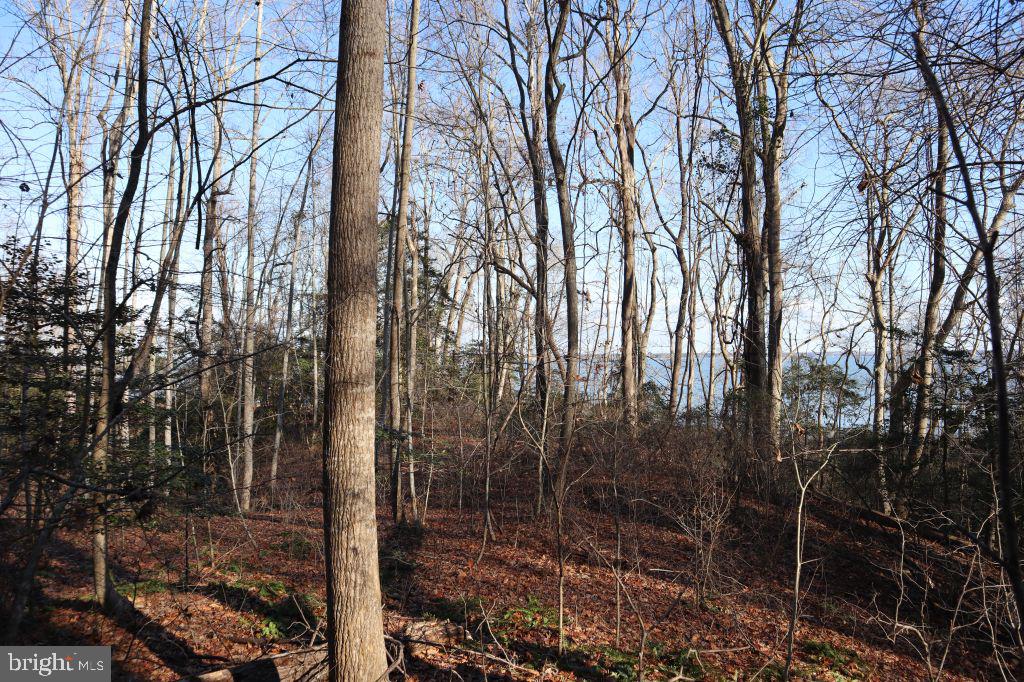 MT PROSPECT RD, LANEVIEW, Virginia 22504, ,Land,For sale,MT PROSPECT RD,VAES2002098 MLS # VAES2002098