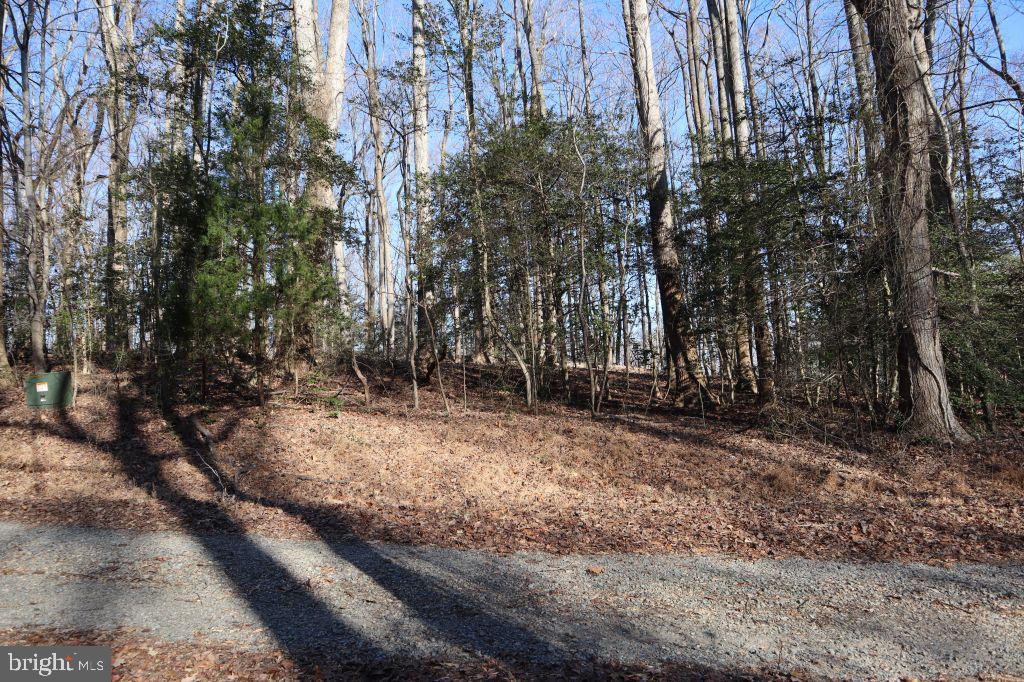 MT PROSPECT RD, LANEVIEW, Virginia 22504, ,Land,For sale,MT PROSPECT RD,VAES2002098 MLS # VAES2002098