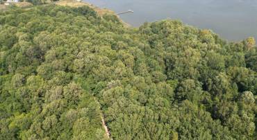 MT PROSPECT RD, LANEVIEW, Virginia 22504, ,Land,For sale,MT PROSPECT RD,VAES2002098 MLS # VAES2002098