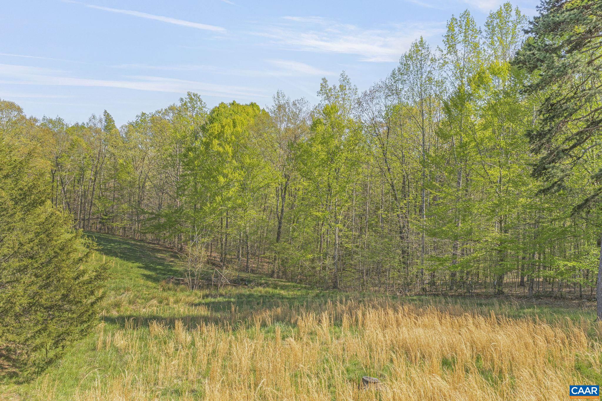 1130 RACE GROUND RD, ROCHELLE, Virginia 22738, 4 Bedrooms Bedrooms, ,3 BathroomsBathrooms,Residential,1130 RACE GROUND RD,663513 MLS # 663513 1130 RACE GROUND RD, ROCHELLE, Virginia 22738, 4 Bedrooms Bedrooms, ,3 BathroomsBathrooms,Residential,1130 RACE GROUND RD,663513 MLS # 663513