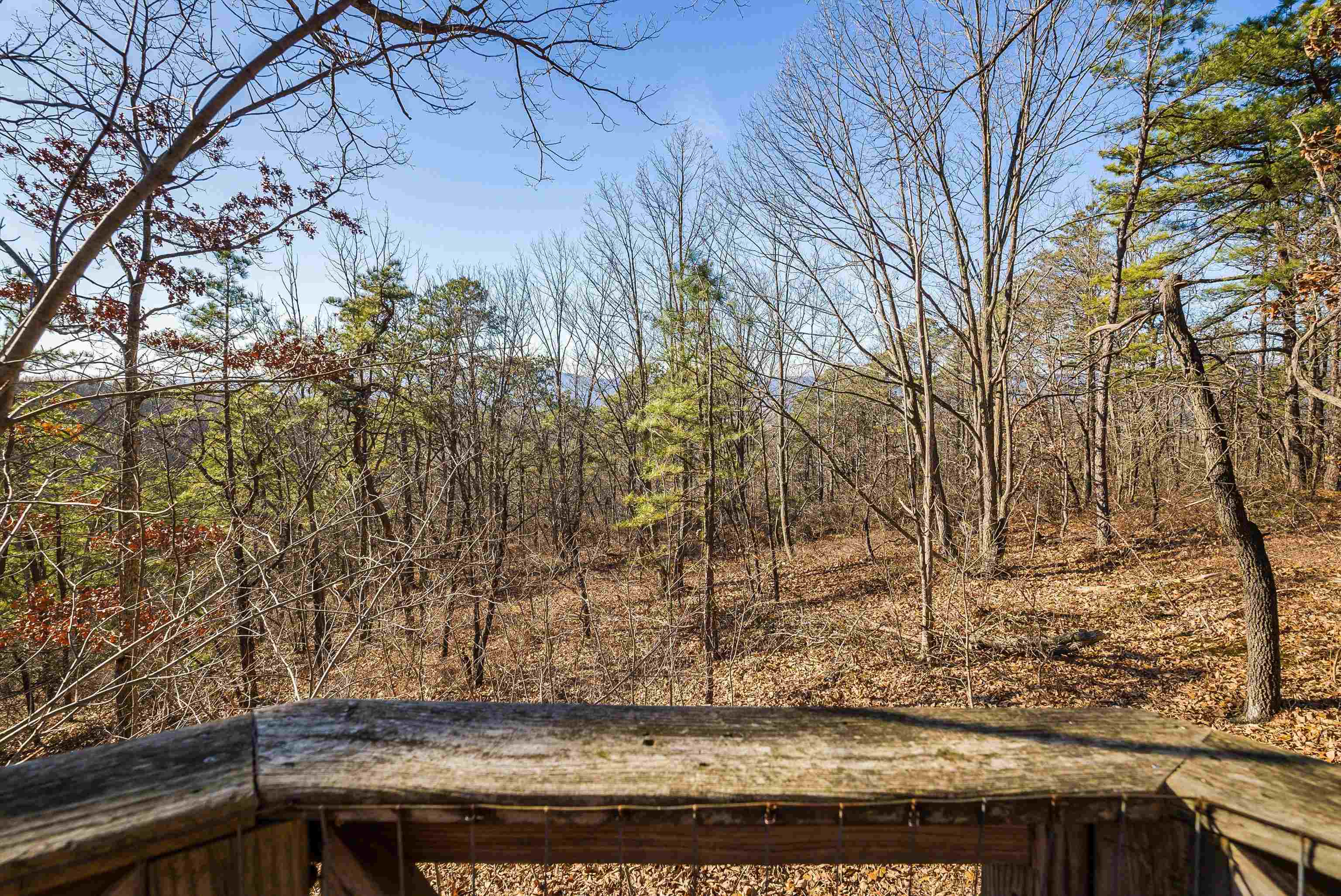 755 WILDWOOD LN, SHENANDOAH, Virginia 22849, 1 Bedroom Bedrooms, ,1 BathroomBathrooms,Residential,755 WILDWOOD LN,672071 MLS # 672071