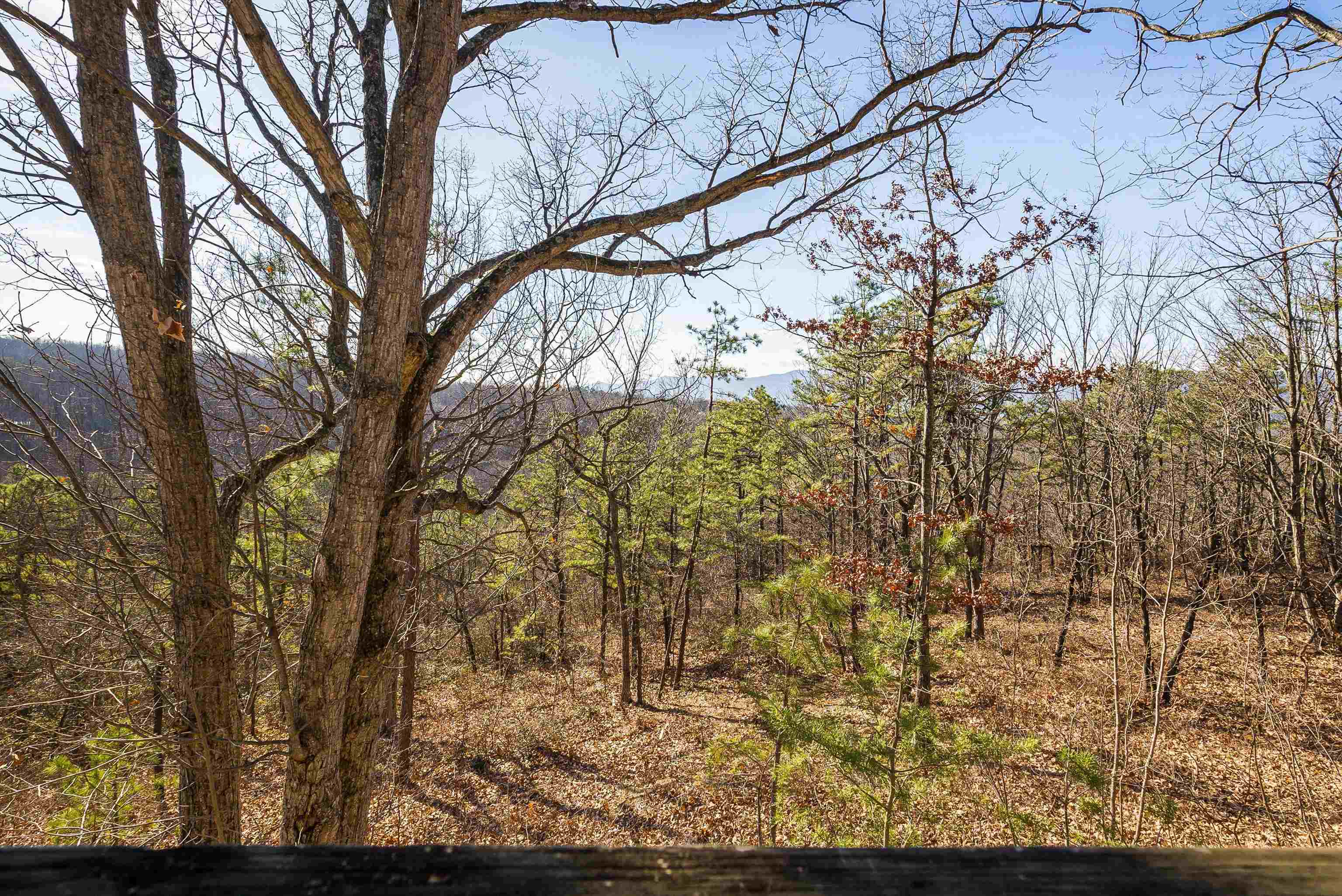 755 WILDWOOD LN, SHENANDOAH, Virginia 22849, 1 Bedroom Bedrooms, ,1 BathroomBathrooms,Residential,755 WILDWOOD LN,672071 MLS # 672071