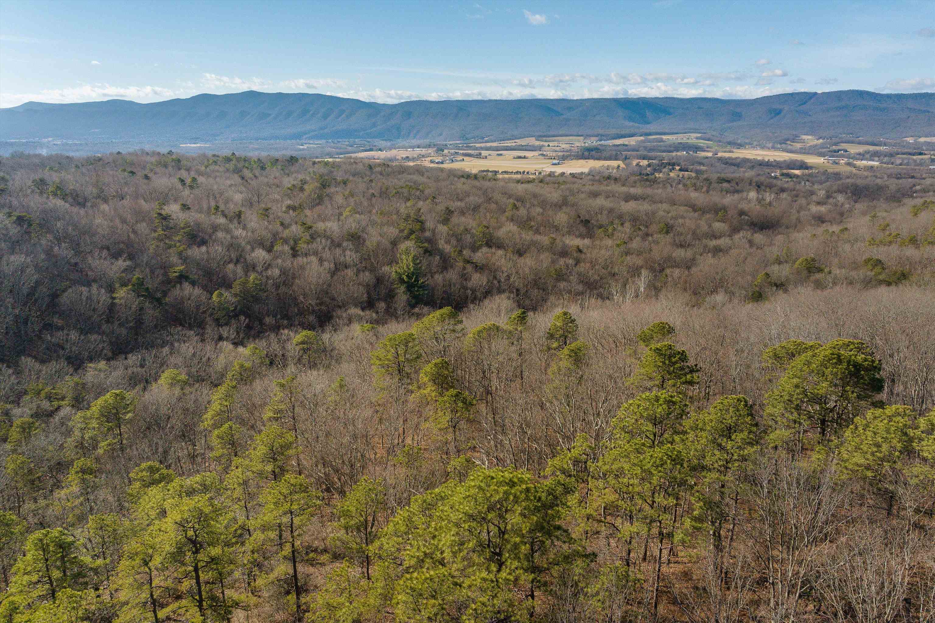 755 WILDWOOD LN, SHENANDOAH, Virginia 22849, 1 Bedroom Bedrooms, ,1 BathroomBathrooms,Residential,755 WILDWOOD LN,672071 MLS # 672071