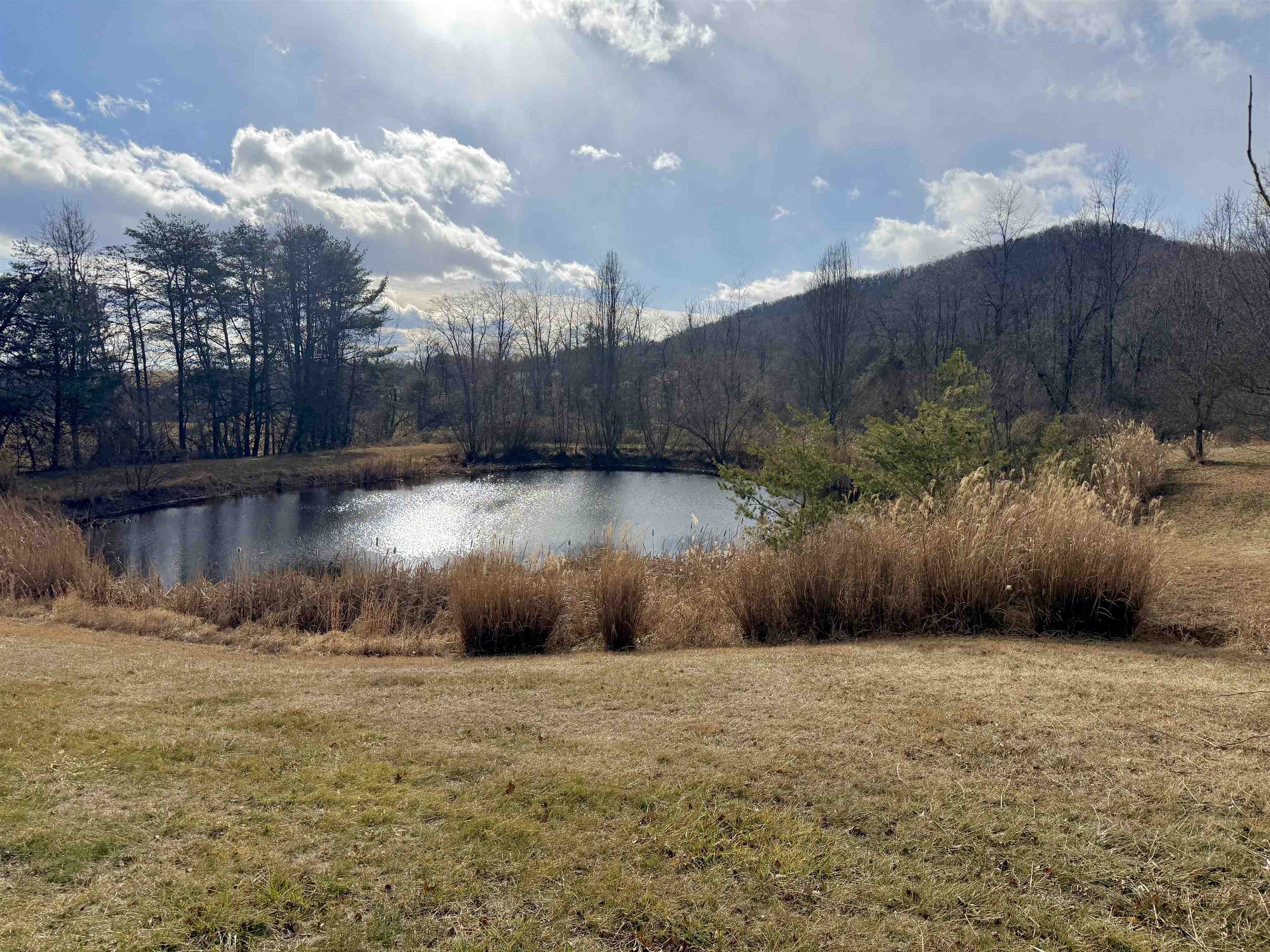 9150 RAWLEY PIKE, HINTON, Virginia 22831, 4 Bedrooms Bedrooms, ,2 BathroomsBathrooms,Residential,9150 RAWLEY PIKE,672078 MLS # 672078