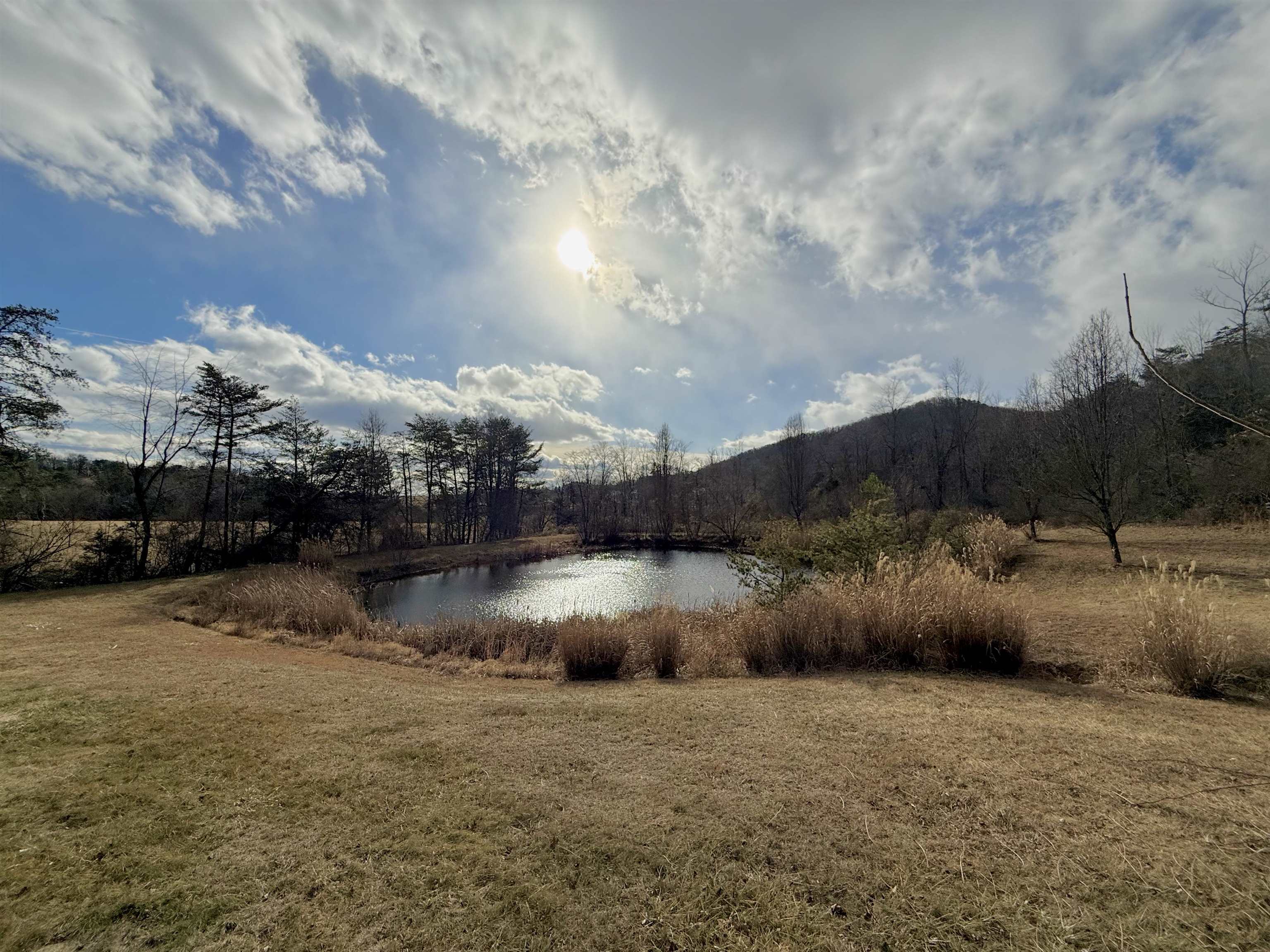 9150 RAWLEY PIKE, HINTON, Virginia 22831, 4 Bedrooms Bedrooms, ,2 BathroomsBathrooms,Residential,9150 RAWLEY PIKE,672078 MLS # 672078