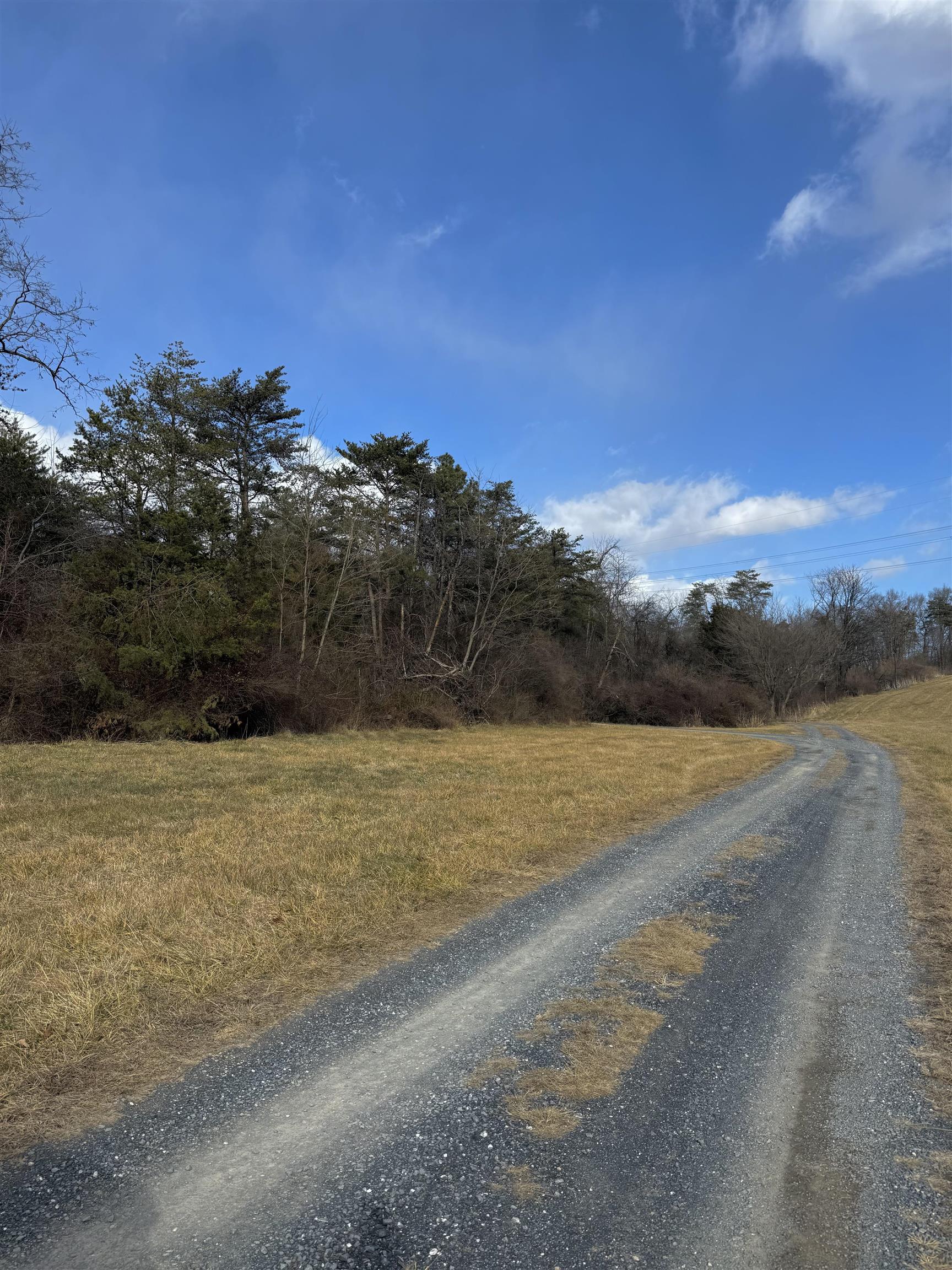 9150 RAWLEY PIKE, HINTON, Virginia 22831, 4 Bedrooms Bedrooms, ,2 BathroomsBathrooms,Residential,9150 RAWLEY PIKE,672078 MLS # 672078