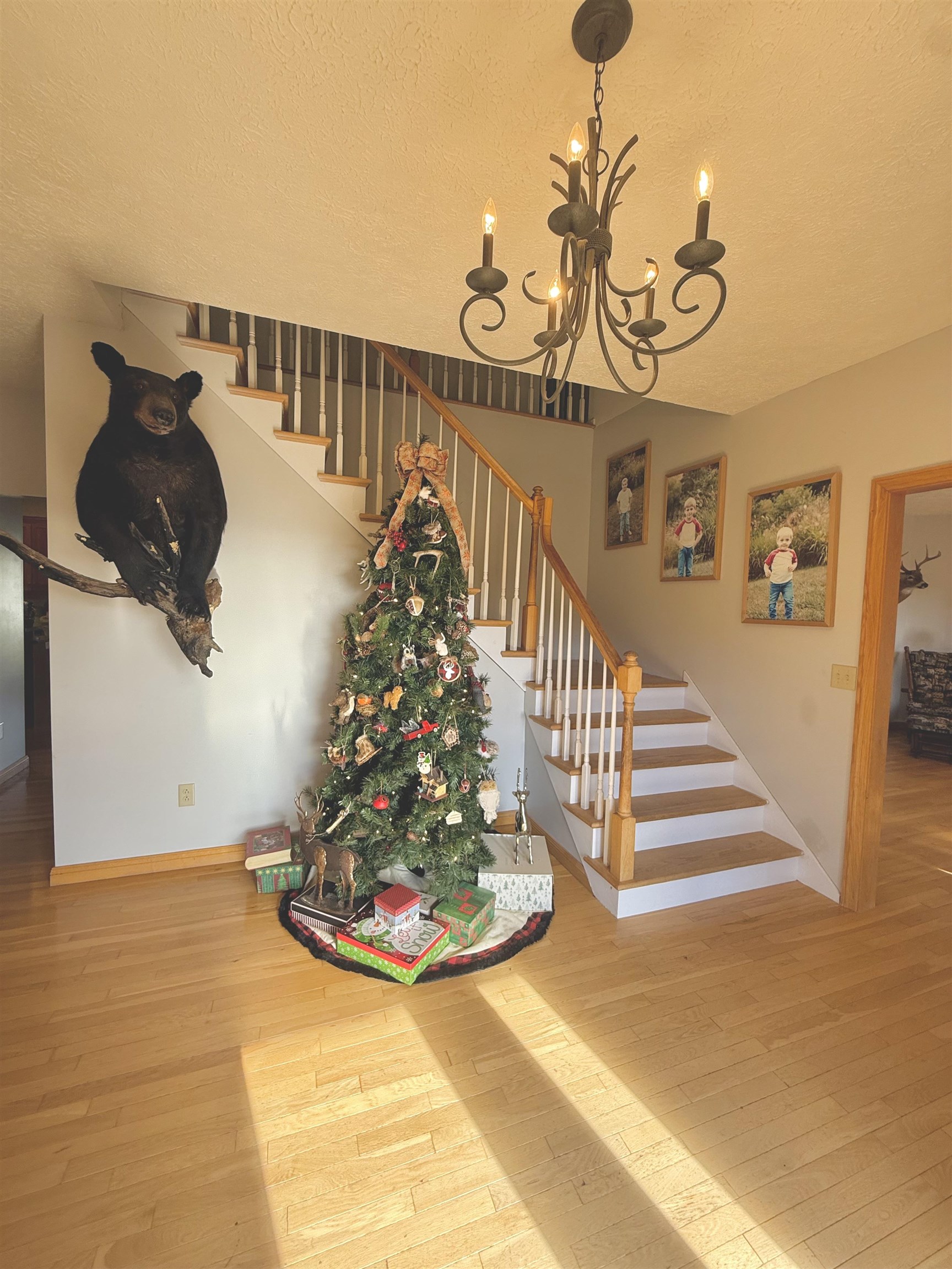 9150 RAWLEY PIKE, HINTON, Virginia 22831, 4 Bedrooms Bedrooms, ,2 BathroomsBathrooms,Residential,9150 RAWLEY PIKE,672078 MLS # 672078