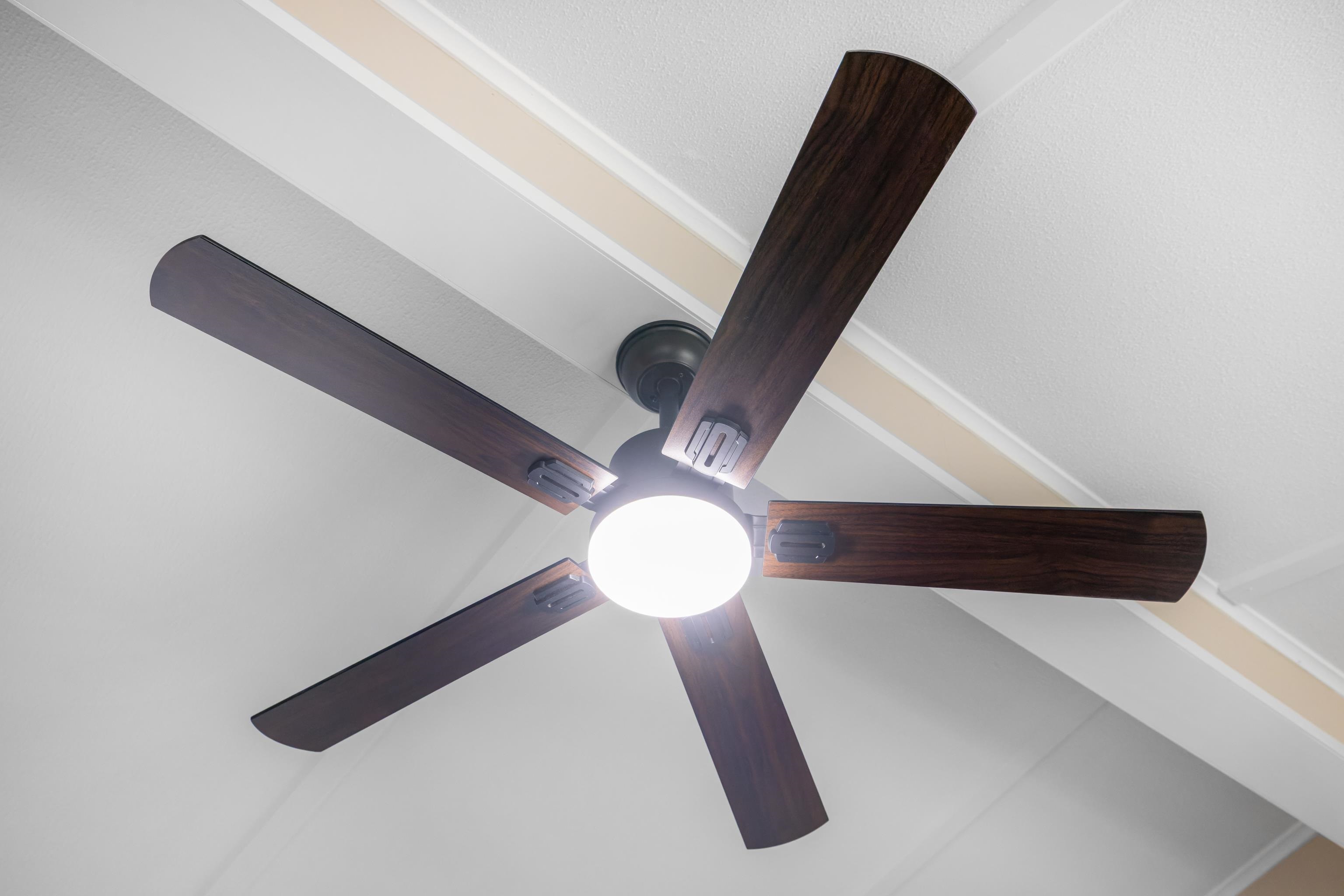 41 PINE HILL LN, STUARTS DRAFT, Virginia 24477, 3 Bedrooms Bedrooms, ,2 BathroomsBathrooms,Residential,41 PINE HILL LN,672105 MLS # 672105