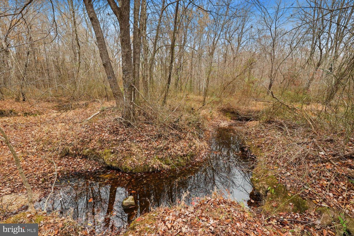12749 ORANGE PLANK RD, LOCUST GROVE, Virginia 22508, 4 Bedrooms Bedrooms, ,3 BathroomsBathrooms,Residential,For sale,12749 ORANGE PLANK RD,VASP2037724 MLS # VASP2037724 12749 ORANGE PLANK RD, LOCUST GROVE, Virginia 22508, 4 Bedrooms Bedrooms, ,3 BathroomsBathrooms,Residential,For sale,12749 ORANGE PLANK RD,VASP2037724 MLS # VASP2037724