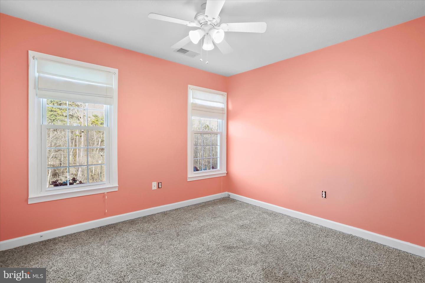 2986 RIDGE HOLLOW RD, EDINBURG, Virginia 22824, 3 Bedrooms Bedrooms, 12 Rooms Rooms,2 BathroomsBathrooms,Residential,For sale,2986 RIDGE HOLLOW RD,VASH2013058 MLS # VASH2013058