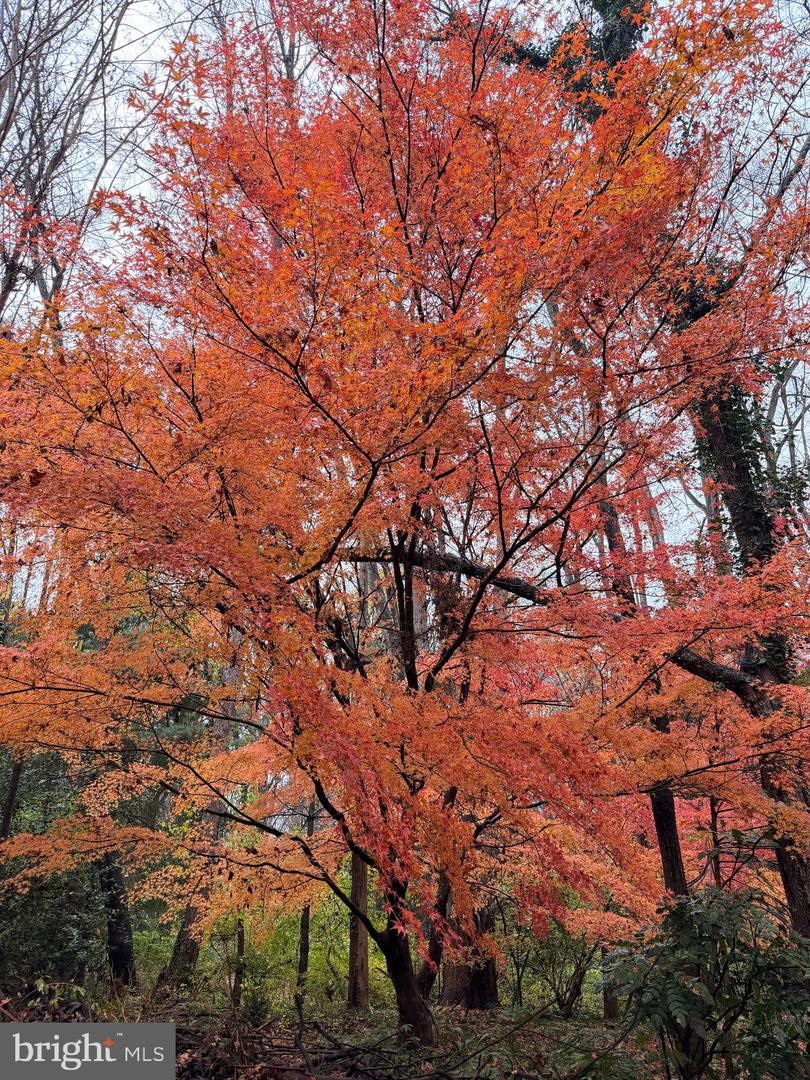 6811 JEREMIAH CT, FAIRFAX STATION, Virginia 22039, 4 Bedrooms Bedrooms, ,2 BathroomsBathrooms,Residential,For sale,6811 JEREMIAH CT,VAFX2280238 MLS # VAFX2280238