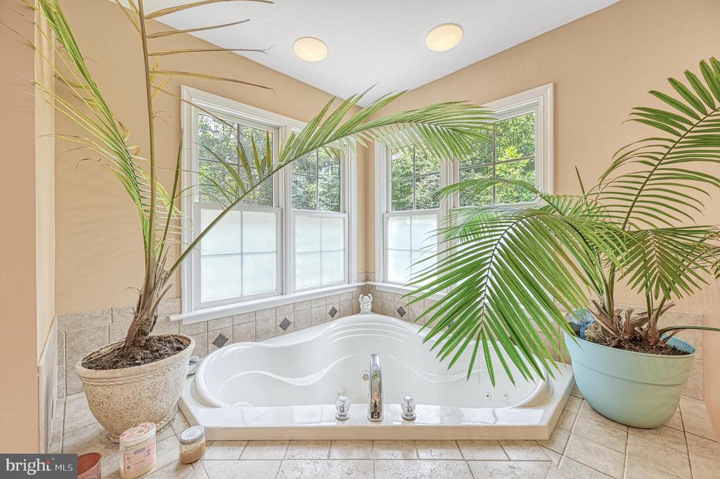 7830 ALSOP WAY, SPOTSYLVANIA, Virginia 22551, 4 Bedrooms Bedrooms, ,4 BathroomsBathrooms,Residential,7830 ALSOP WAY,VASP2033852 MLS # VASP2033852 7830 ALSOP WAY, SPOTSYLVANIA, Virginia 22551, 4 Bedrooms Bedrooms, ,4 BathroomsBathrooms,Residential,7830 ALSOP WAY,VASP2033852 MLS # VASP2033852