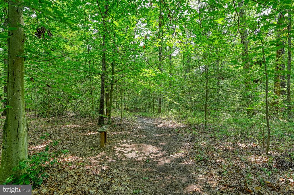 7830 ALSOP WAY, SPOTSYLVANIA, Virginia 22551, 4 Bedrooms Bedrooms, ,4 BathroomsBathrooms,Residential,7830 ALSOP WAY,VASP2033852 MLS # VASP2033852 7830 ALSOP WAY, SPOTSYLVANIA, Virginia 22551, 4 Bedrooms Bedrooms, ,4 BathroomsBathrooms,Residential,7830 ALSOP WAY,VASP2033852 MLS # VASP2033852