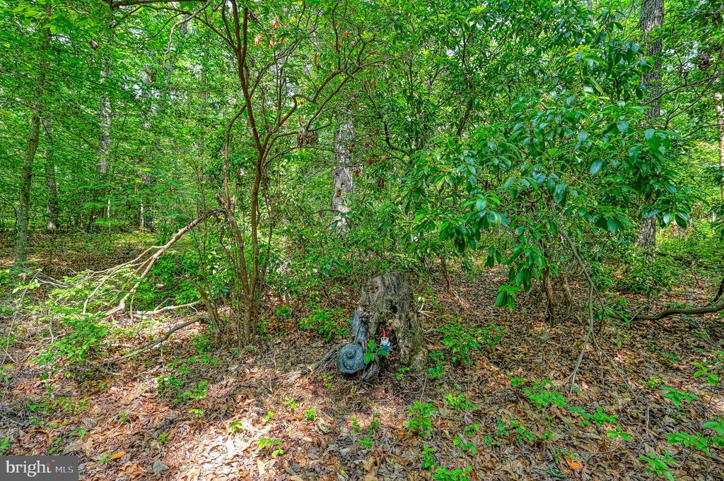 7830 ALSOP WAY, SPOTSYLVANIA, Virginia 22551, 4 Bedrooms Bedrooms, ,4 BathroomsBathrooms,Residential,7830 ALSOP WAY,VASP2033852 MLS # VASP2033852 7830 ALSOP WAY, SPOTSYLVANIA, Virginia 22551, 4 Bedrooms Bedrooms, ,4 BathroomsBathrooms,Residential,7830 ALSOP WAY,VASP2033852 MLS # VASP2033852