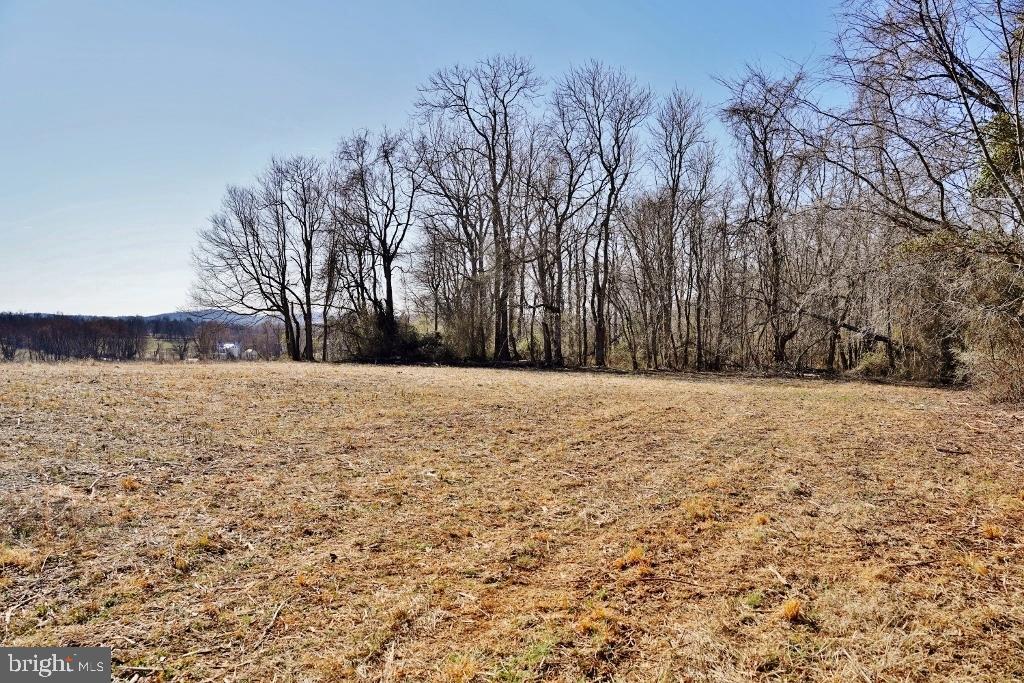 SHUSHAN LANE, LOVETTSVILLE, Virginia 20180, ,Land,For sale,SHUSHAN LANE,VALO2113226 MLS # VALO2113226 SHUSHAN LANE, LOVETTSVILLE, Virginia 20180, ,Land,For sale,SHUSHAN LANE,VALO2113226 MLS # VALO2113226