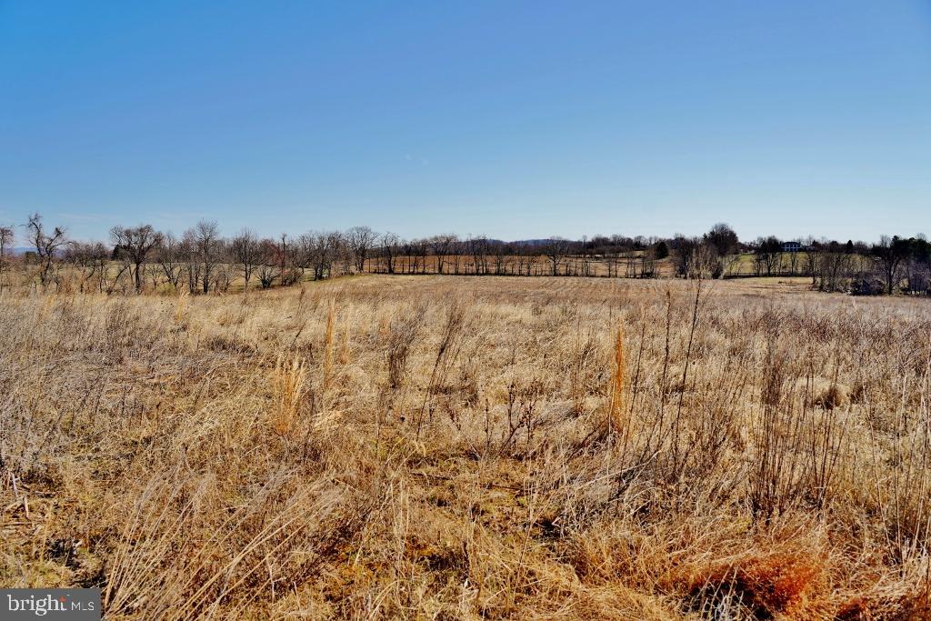 SHUSHAN LANE, LOVETTSVILLE, Virginia 20180, ,Land,For sale,SHUSHAN LANE,VALO2113226 MLS # VALO2113226 SHUSHAN LANE, LOVETTSVILLE, Virginia 20180, ,Land,For sale,SHUSHAN LANE,VALO2113226 MLS # VALO2113226