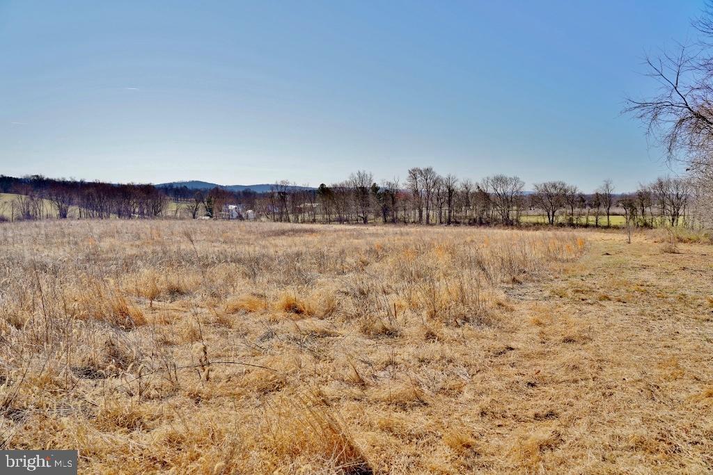 SHUSHAN LANE, LOVETTSVILLE, Virginia 20180, ,Land,For sale,SHUSHAN LANE,VALO2113226 MLS # VALO2113226 SHUSHAN LANE, LOVETTSVILLE, Virginia 20180, ,Land,For sale,SHUSHAN LANE,VALO2113226 MLS # VALO2113226