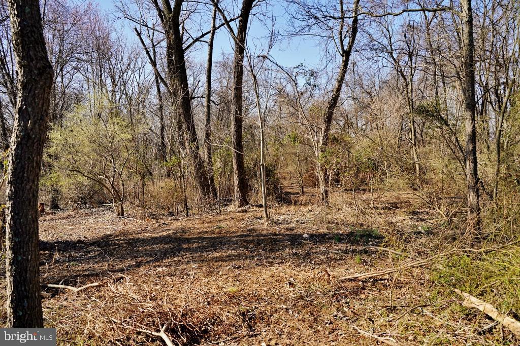 SHUSHAN LANE, LOVETTSVILLE, Virginia 20180, ,Land,For sale,SHUSHAN LANE,VALO2113226 MLS # VALO2113226 SHUSHAN LANE, LOVETTSVILLE, Virginia 20180, ,Land,For sale,SHUSHAN LANE,VALO2113226 MLS # VALO2113226
