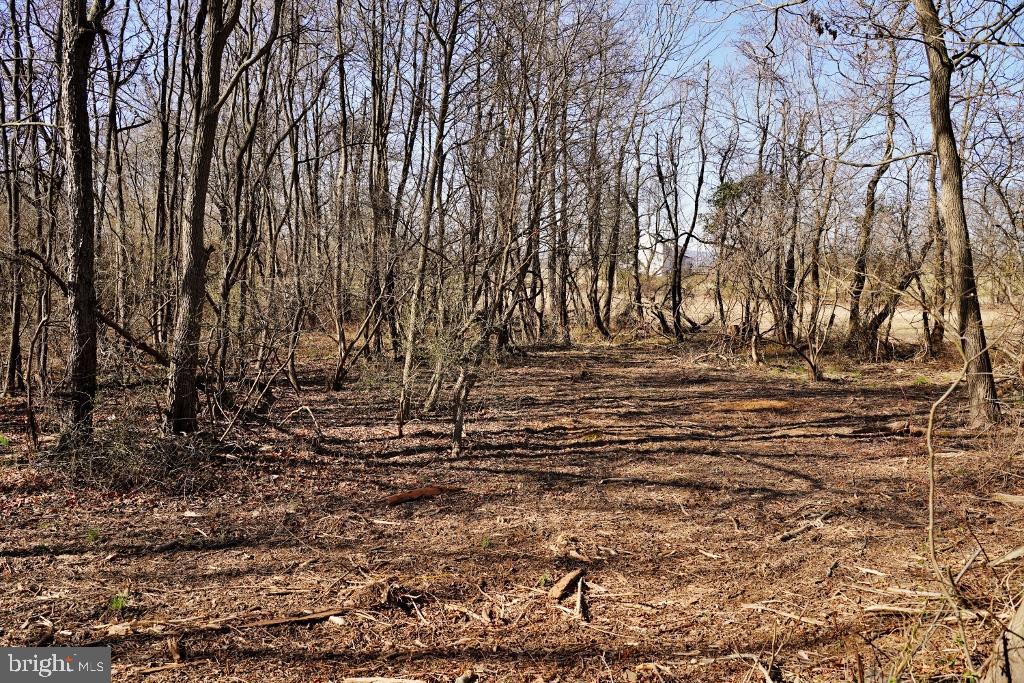 SHUSHAN LANE, LOVETTSVILLE, Virginia 20180, ,Land,For sale,SHUSHAN LANE,VALO2113226 MLS # VALO2113226 SHUSHAN LANE, LOVETTSVILLE, Virginia 20180, ,Land,For sale,SHUSHAN LANE,VALO2113226 MLS # VALO2113226