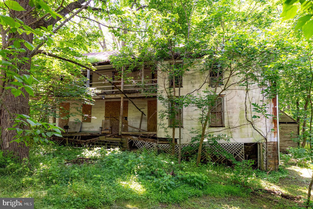 2410 MAUZY ATHLONE RD, BROADWAY, Virginia 22815, ,Land,For sale,2410 MAUZY ATHLONE RD,VARO2002774 MLS # VARO2002774 2410 MAUZY ATHLONE RD, BROADWAY, Virginia 22815, ,Land,For sale,2410 MAUZY ATHLONE RD,VARO2002774 MLS # VARO2002774