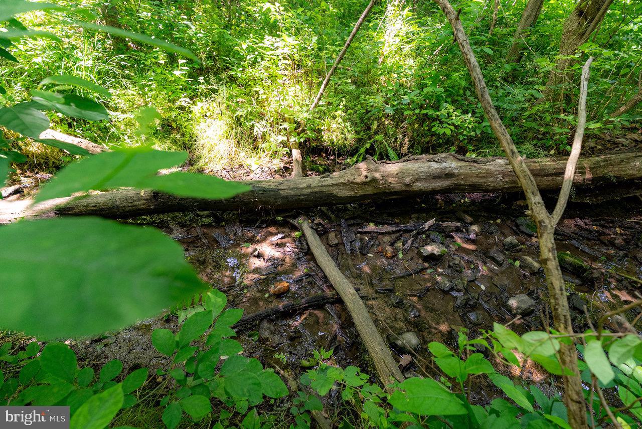 2410 MAUZY ATHLONE RD, BROADWAY, Virginia 22815, ,Land,For sale,2410 MAUZY ATHLONE RD,VARO2002774 MLS # VARO2002774 2410 MAUZY ATHLONE RD, BROADWAY, Virginia 22815, ,Land,For sale,2410 MAUZY ATHLONE RD,VARO2002774 MLS # VARO2002774