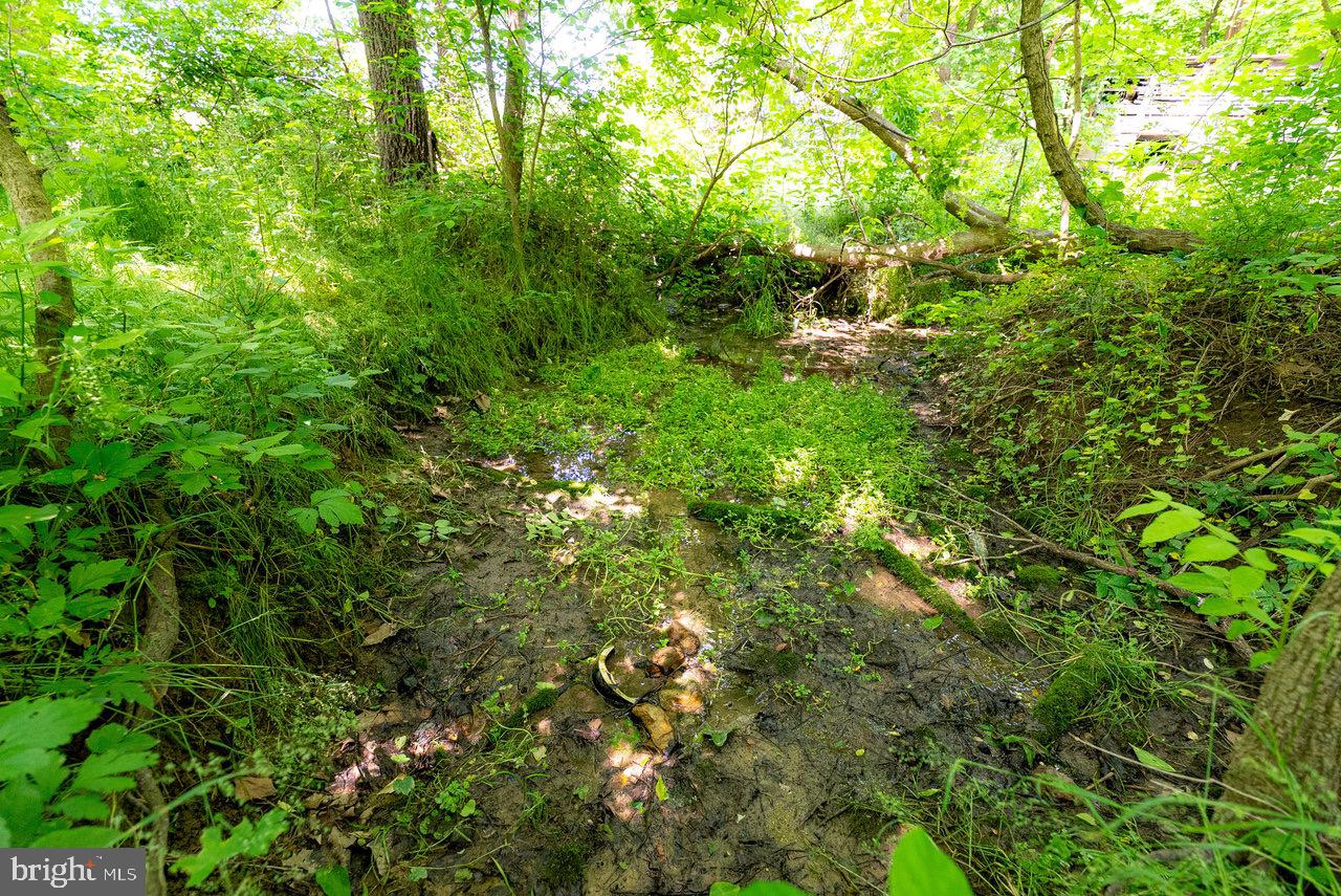 2410 MAUZY ATHLONE RD, BROADWAY, Virginia 22815, ,Land,For sale,2410 MAUZY ATHLONE RD,VARO2002774 MLS # VARO2002774 2410 MAUZY ATHLONE RD, BROADWAY, Virginia 22815, ,Land,For sale,2410 MAUZY ATHLONE RD,VARO2002774 MLS # VARO2002774