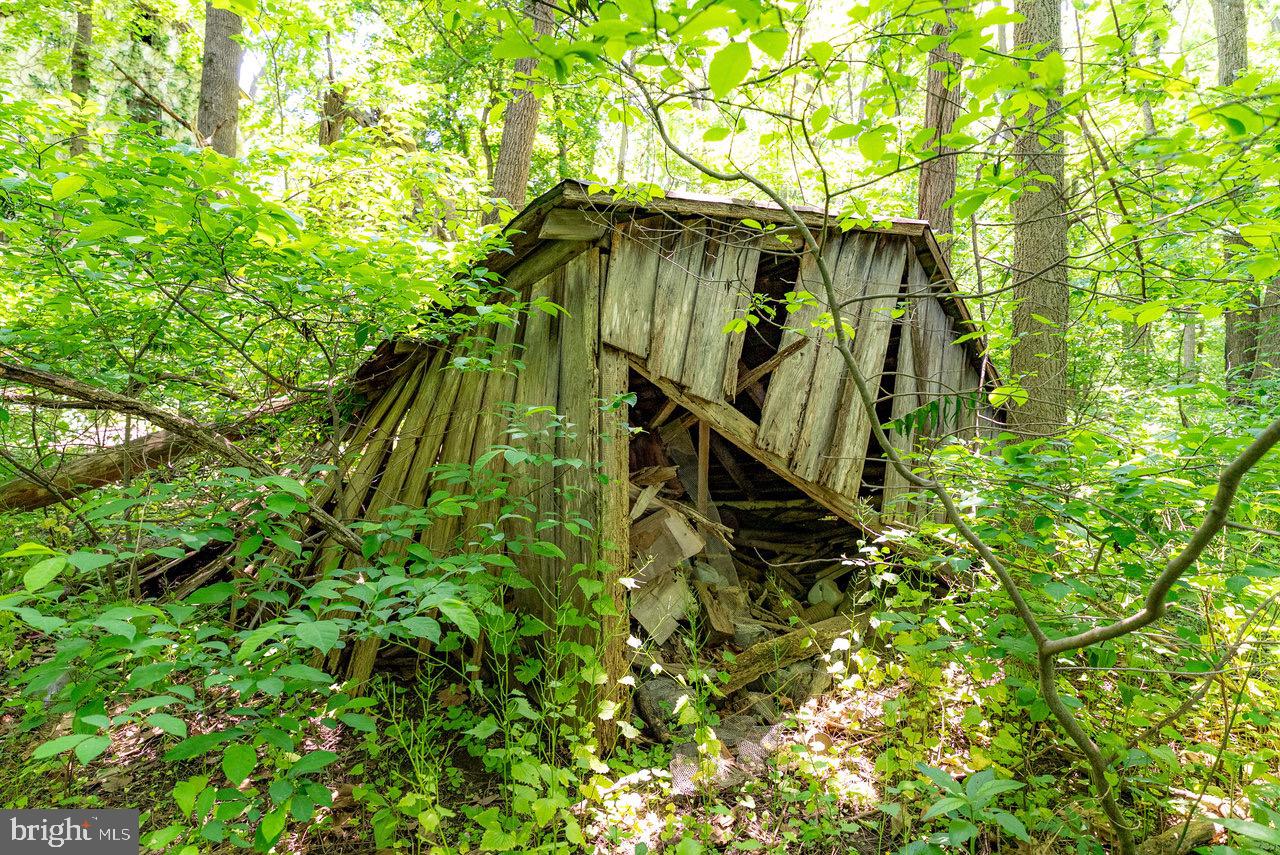 2410 MAUZY ATHLONE RD, BROADWAY, Virginia 22815, ,Land,For sale,2410 MAUZY ATHLONE RD,VARO2002774 MLS # VARO2002774 2410 MAUZY ATHLONE RD, BROADWAY, Virginia 22815, ,Land,For sale,2410 MAUZY ATHLONE RD,VARO2002774 MLS # VARO2002774