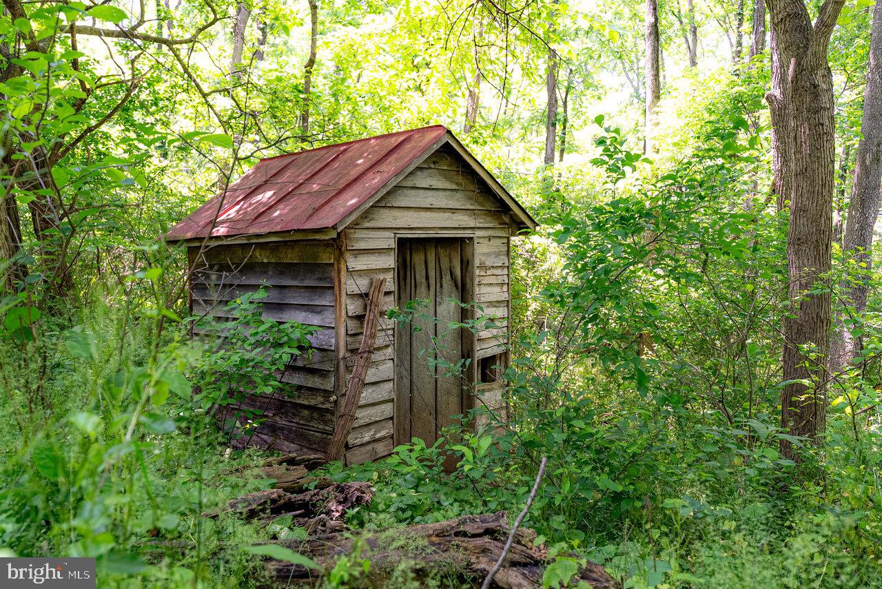 2410 MAUZY ATHLONE RD, BROADWAY, Virginia 22815, ,Land,For sale,2410 MAUZY ATHLONE RD,VARO2002774 MLS # VARO2002774 2410 MAUZY ATHLONE RD, BROADWAY, Virginia 22815, ,Land,For sale,2410 MAUZY ATHLONE RD,VARO2002774 MLS # VARO2002774